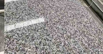嘉峪关 芙蓉白光面
