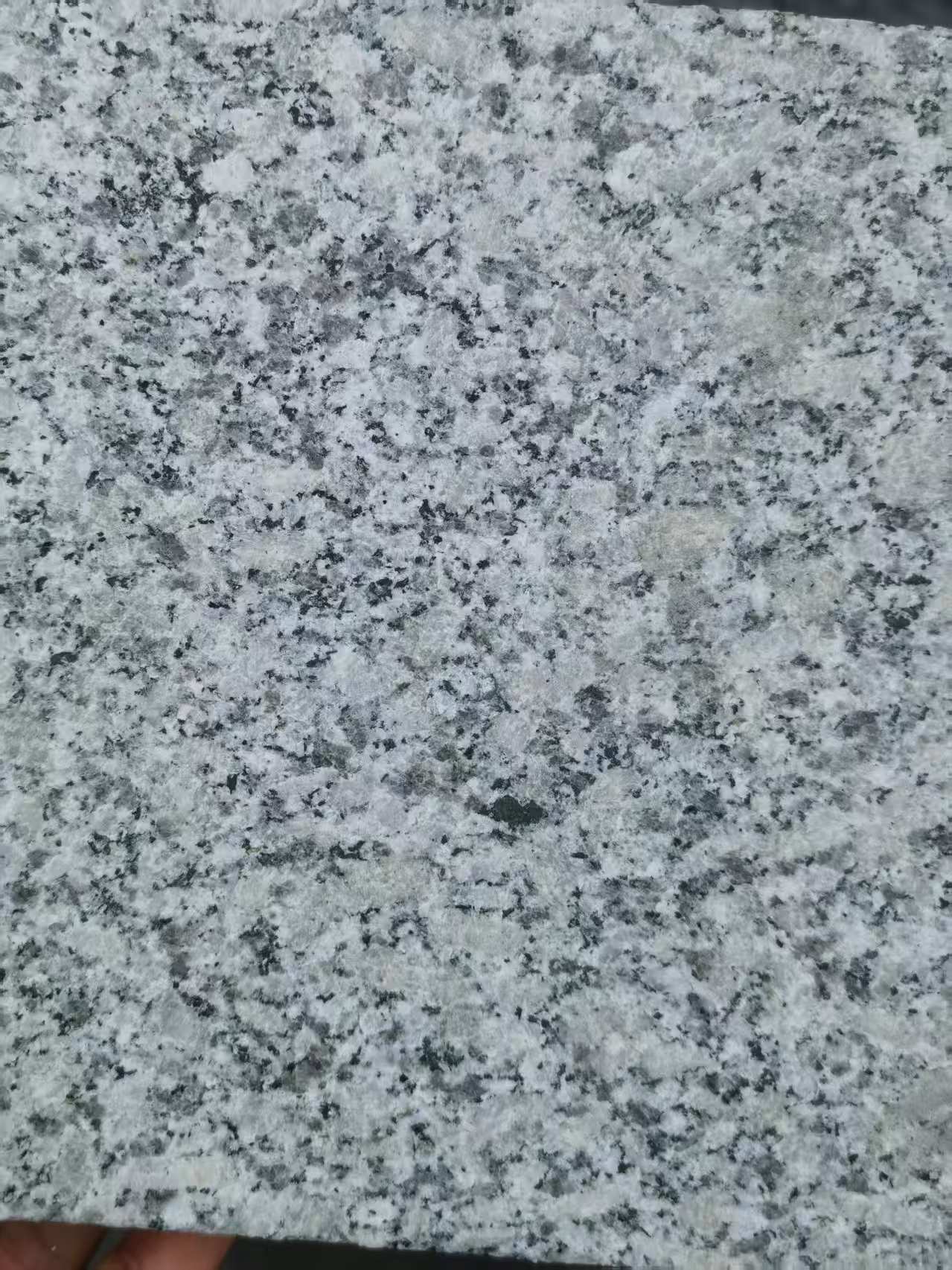 嘉峪关 芙蓉白火烧面